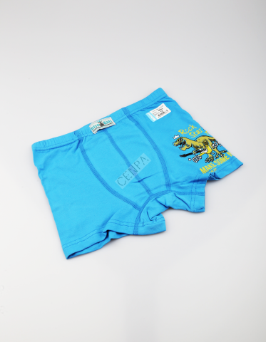 Biyokids Çocuk Erkek 12-13 Yaş Baskılı Renkli Boxer Mavi